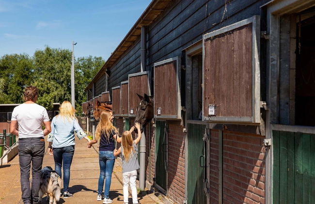 Chalet in a Holiday Park, 18 km. From Rotterdam - Foto 33