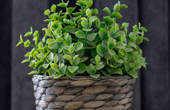 5th Floor Studio in Katowice by Renters - Foto 17