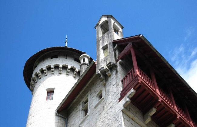 Renovated Castle Apartment With Swimming Pool - Foto 25