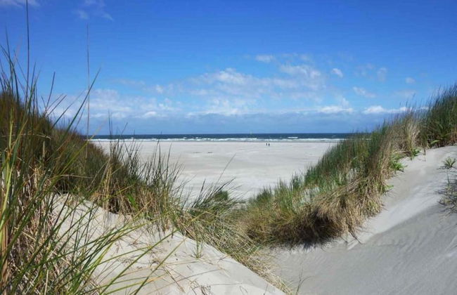 Beachside Escape w/ Terrace - Foto 27