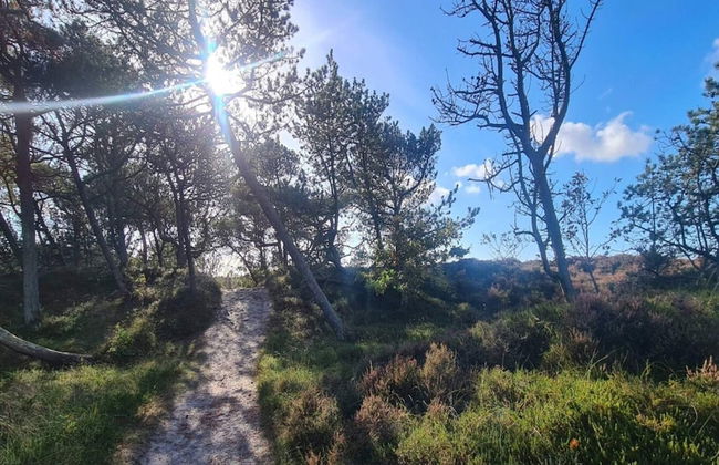 Luxury Retreat in Toftum - By Traum Ferienwohnungen - Foto 25