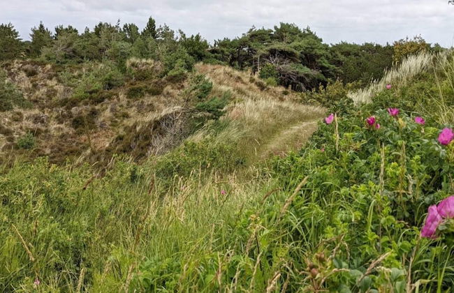 Luxury Retreat in Toftum - By Traum Ferienwohnungen - Foto 28