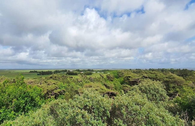 Luxury Retreat in Toftum - By Traum Ferienwohnungen - Foto 24