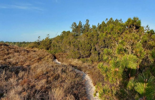 Luxury Retreat in Toftum - By Traum Ferienwohnungen - Foto 30