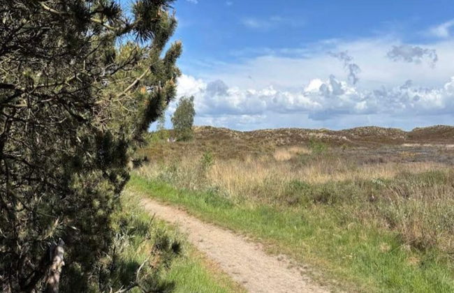 Luxury Retreat in Toftum - By Traum Ferienwohnungen - Foto 29