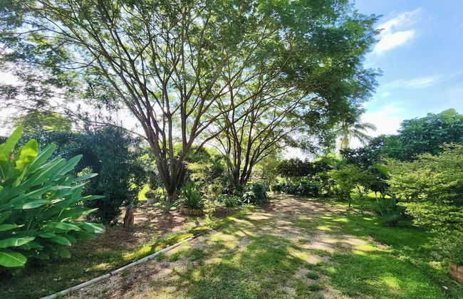 Natura Ravee Greenstay - Foto 60