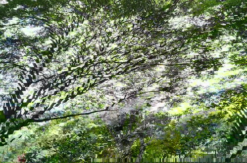 Foto 67 - Natura Ravee Greenstay
