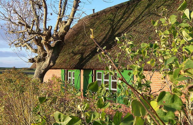 Thatched Roof House Kehl - Foto 20