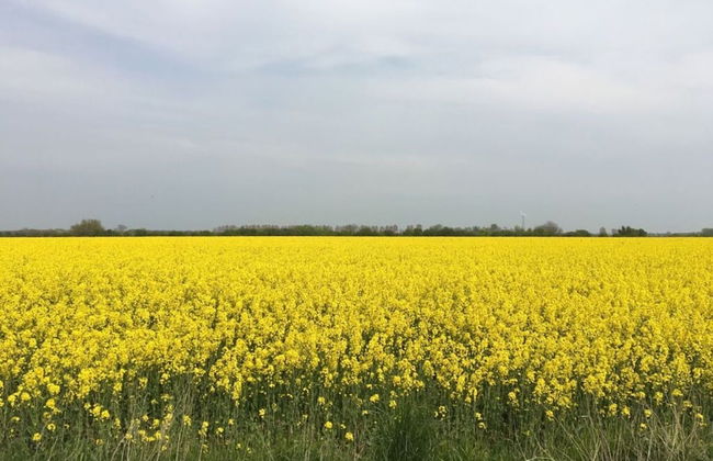 Kleine Freiheit Fehmarn - Foto 21
