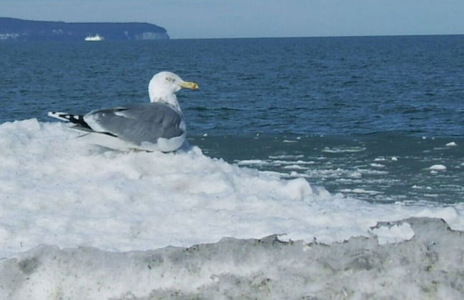 55, Apartment House "bel-vital" - Foto 4