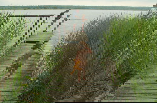 Foto 26 - The Fischerhaus on Lake Malkwitzer See