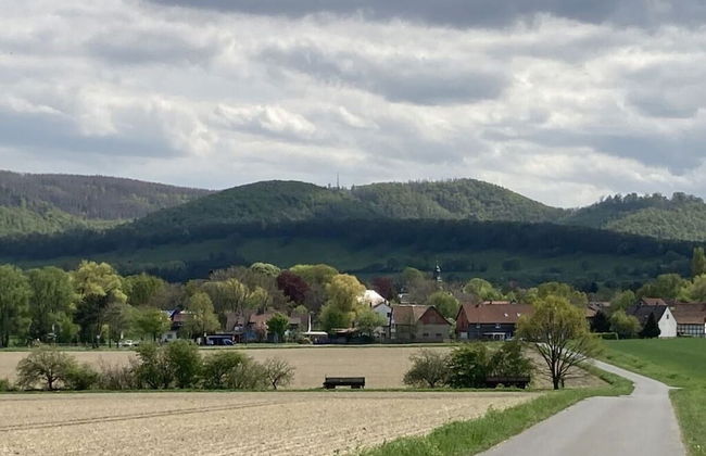 Summit Happiness at the Purple Beech - Foto 28
