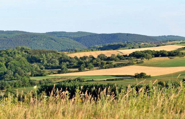 Bungalow in Eifel Near Mountain Trails - Foto 35