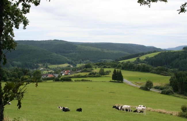 Bungalow in Eifel Near Mountain Trails - Foto 38