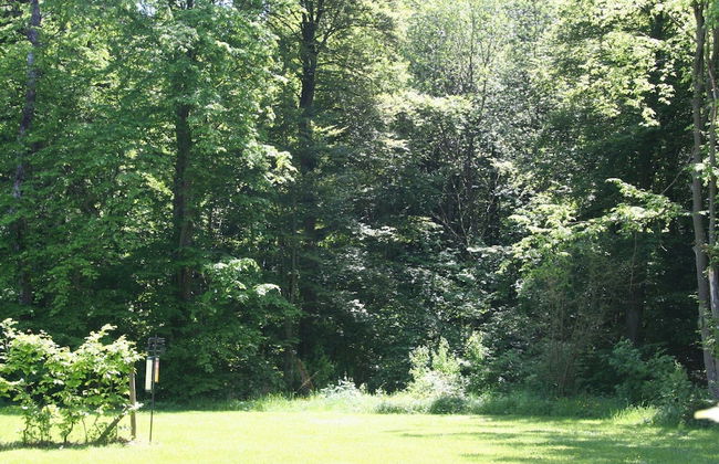 Bungalow in Eifel Near Mountain Trails - Foto 26