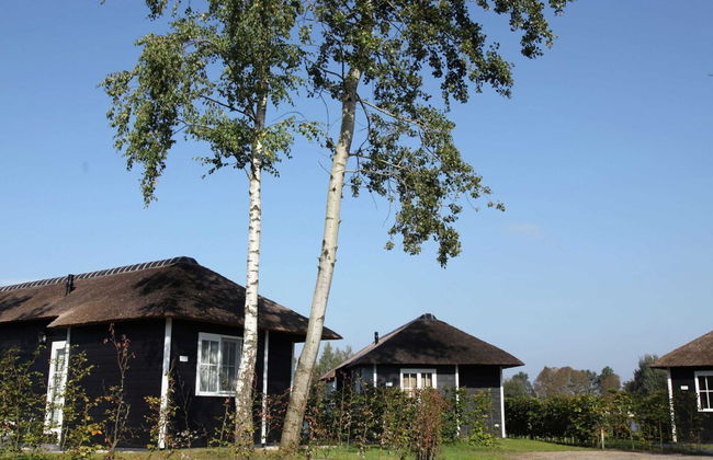 Stylish Woodland Chalet - Photo 1