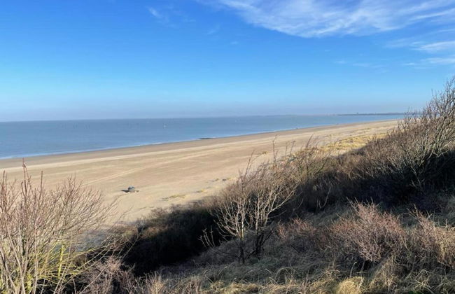Spacious Holiday Home in Renesse near North Sea - Foto 25