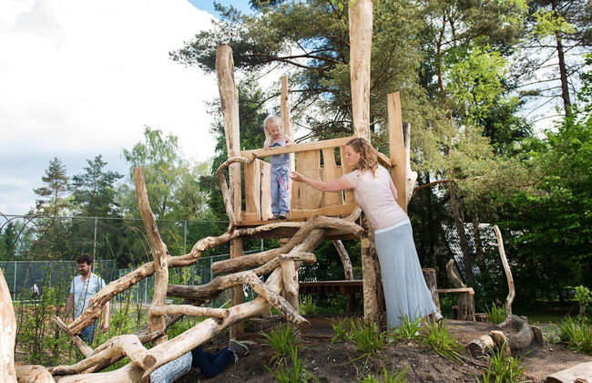Forest-edge Family Bungalow - Foto 28