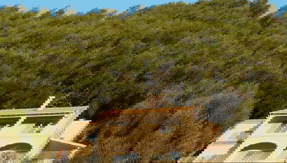 Imagem principal
