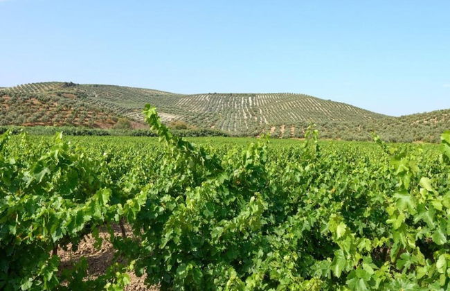 Belvilla by OYO Piso Confortable en Montilla - Foto 29