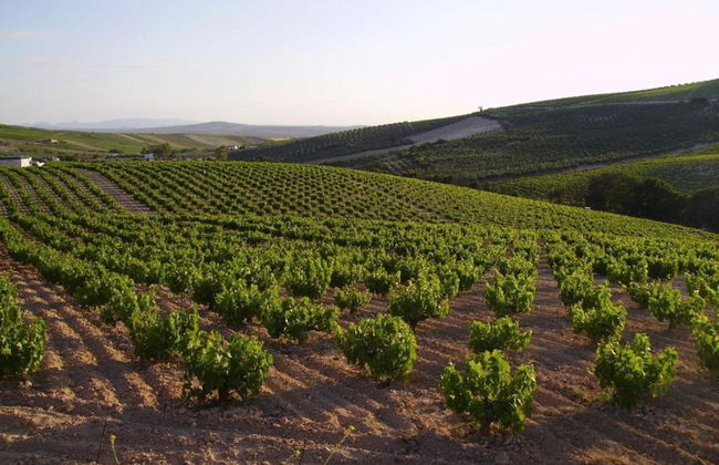 Belvilla by OYO Piso Confortable en Montilla - Foto 32