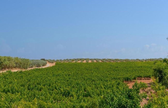 Belvilla by OYO Piso Confortable en Montilla - Foto 31