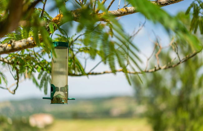 Charming Villa Stay Near Limoux - Foto 28