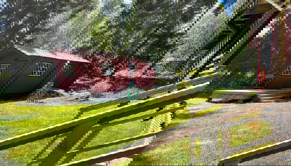 Primary image