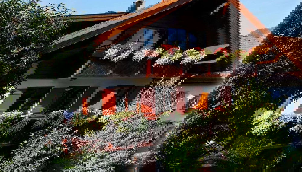 Image principale