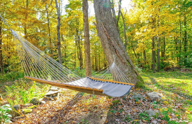 Woodfall by Avantstay Tons of Outdoor Space - Photo 34