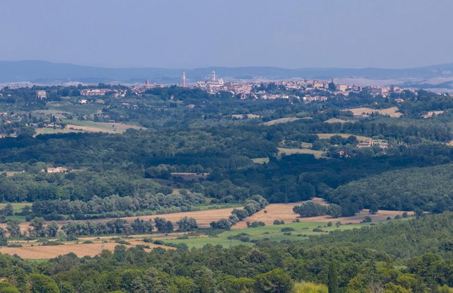 Villa Rinaldi 6 in Carpineta - Foto 65