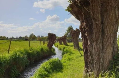 Photo 40 - Located Near Maastricht Towards the Belgium Border