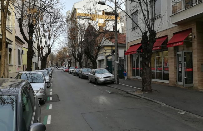 Belgrade Center Apartment Skadarlija - Foto 13