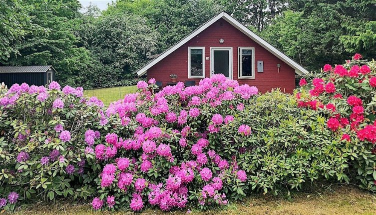 Photo 1 - 6 Person Holiday Home in Toftlund