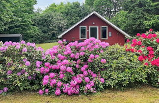 Foto 1 - 6 Person Holiday Home in Toftlund