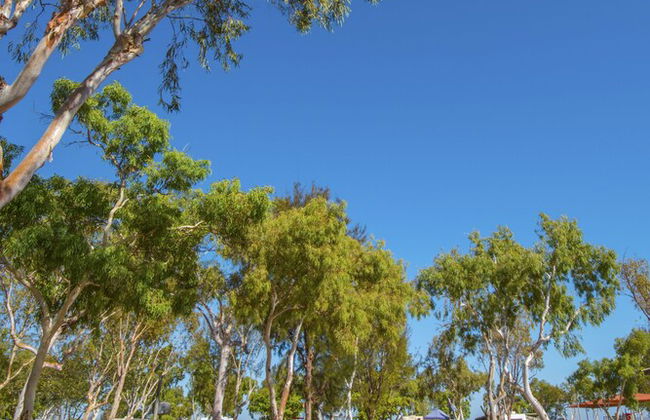 Discovery Parks - Balmoral Karratha - Foto 19