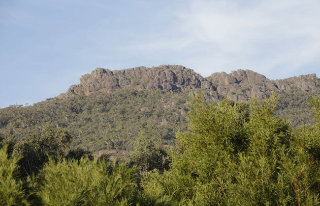 Dacelo - Foto 21