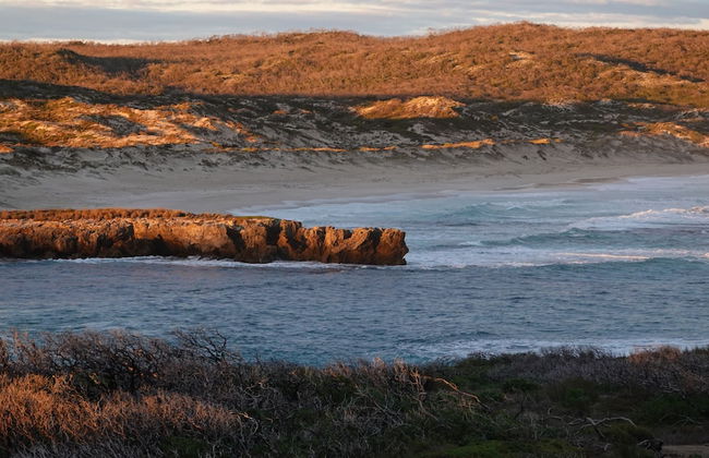 Hanson Bay Wildlife Sanctuary and Cabins - Foto 10