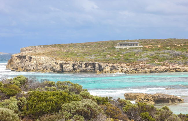 Hanson Bay Wildlife Sanctuary and Cabins - Foto 24