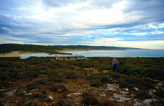 Hanson Bay Wildlife Sanctuary and Cabins - Foto 30