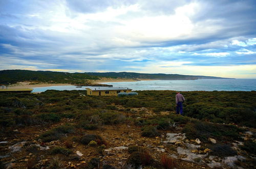 Photo 28 - Hanson Bay Wildlife Sanctuary and Cabins