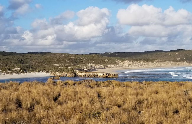 Hanson Bay Wildlife Sanctuary and Cabins - Foto 25