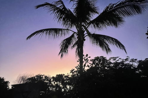 Foto 31 - Paradise Palms
