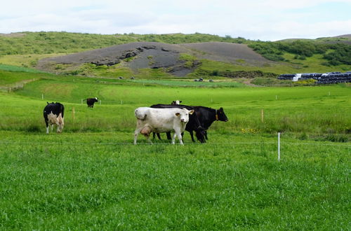 Photo 8 - Miðdalskot Cottages