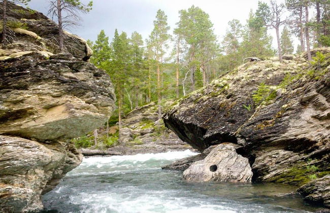 Furuheim Gard - Foto 20