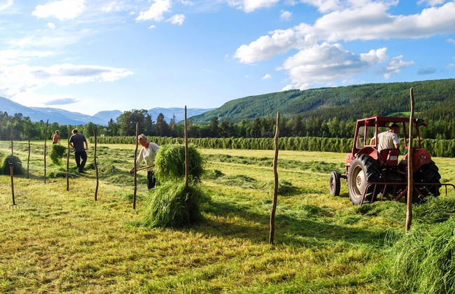 Furuheim Gard - Foto 28