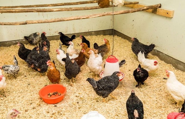 Furuheim Gard - Foto 26