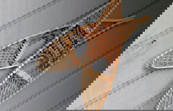 Elm Riverside Accommodation Merrijig - Foto 15