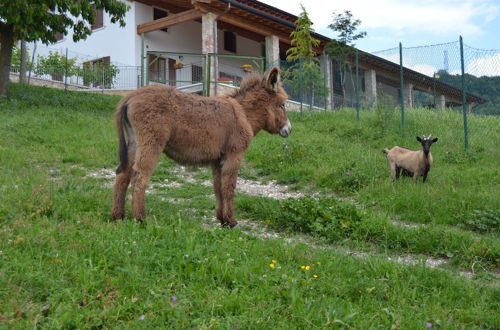 Photo 29 - Agriturismo Corte Maccini