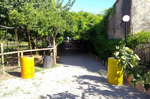 Photo 52 - Masseria Sparano